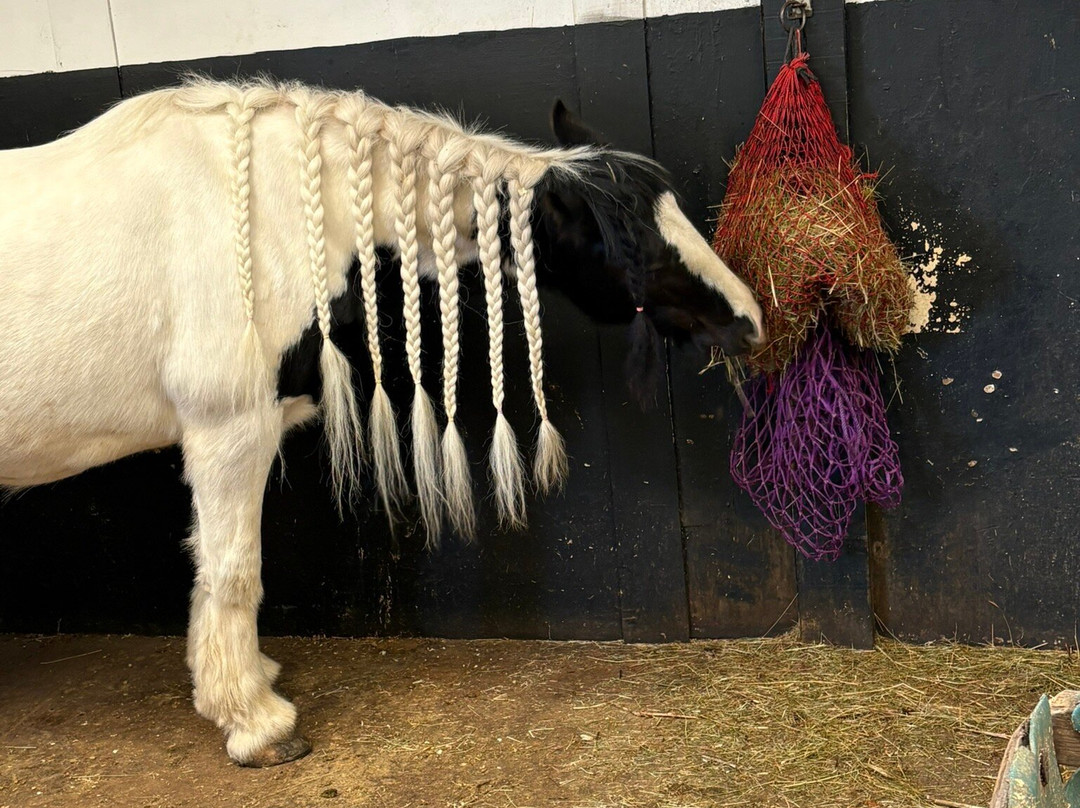 Marsh Farm Animal Adventure Park-Woodham Ferrers必去景点
