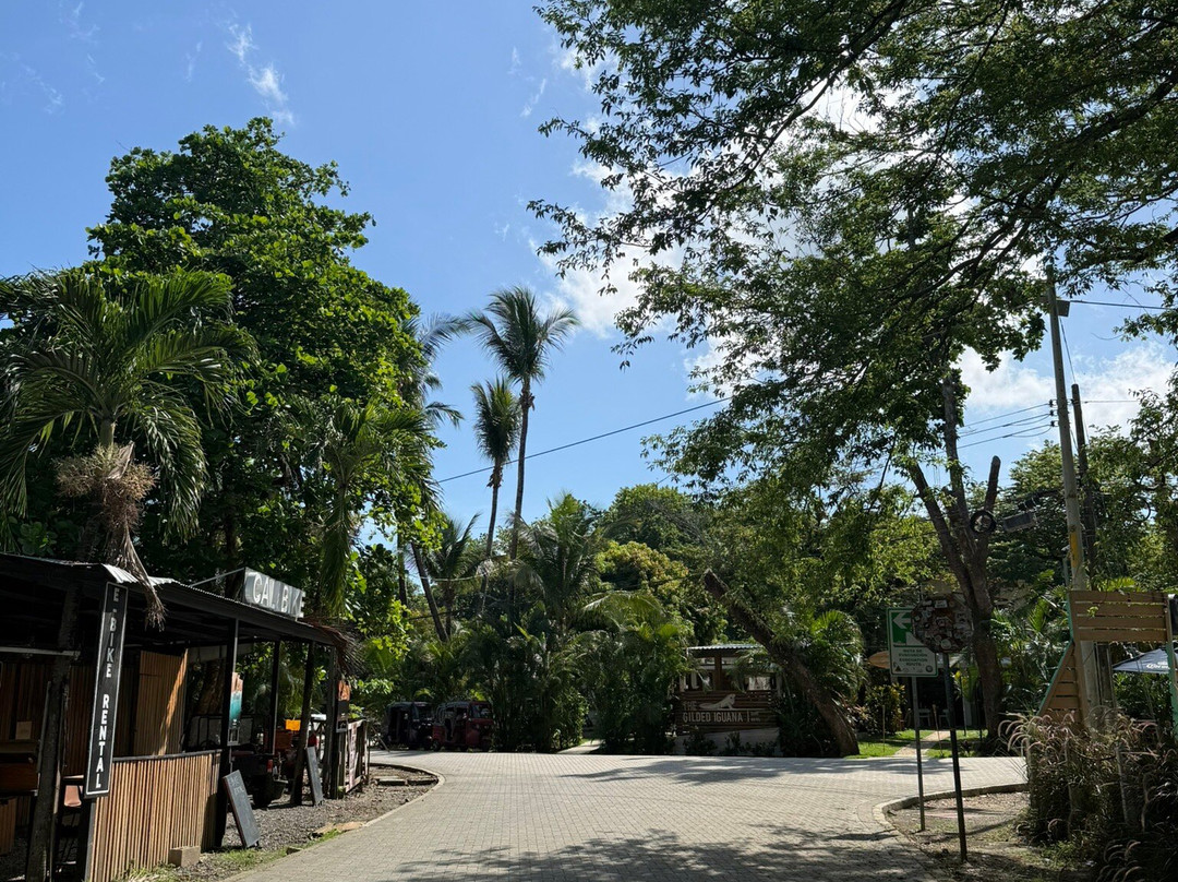 格莱迪伊瓜纳冲浪酒店主图