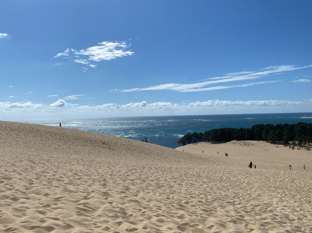 Great Dune of Pilat-拉泰斯特德比克必去景点