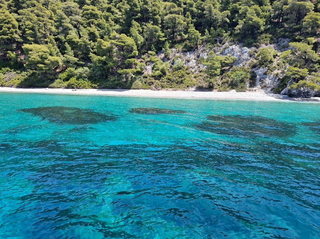 Carpe Diem Sailing-Skiathos Town必去景点