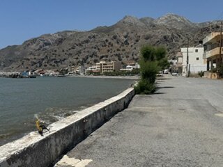 Apollon-旅行者