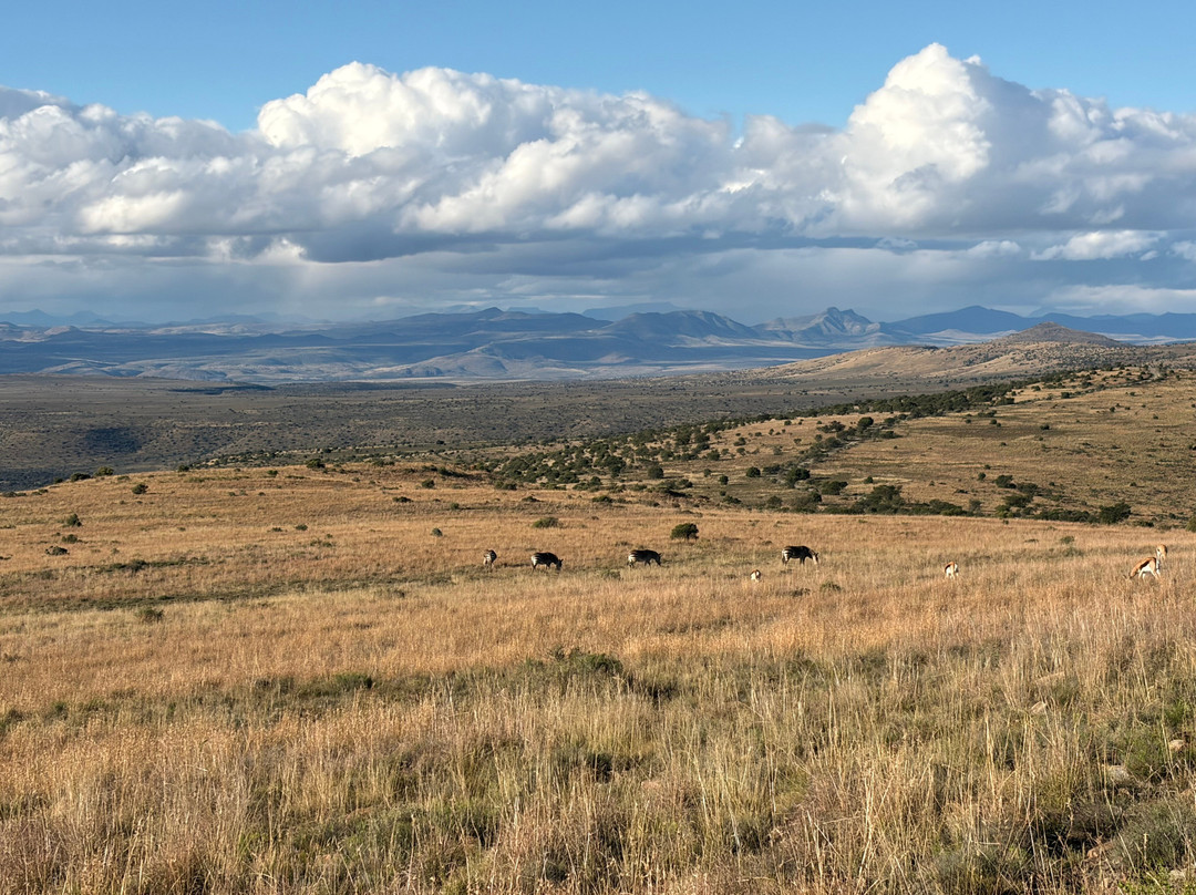 Mountain Zebra National Park-Nxuba必去景点