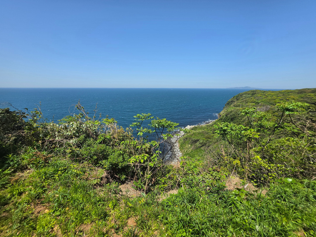 Ainoshima Island-新宫町必去景点
