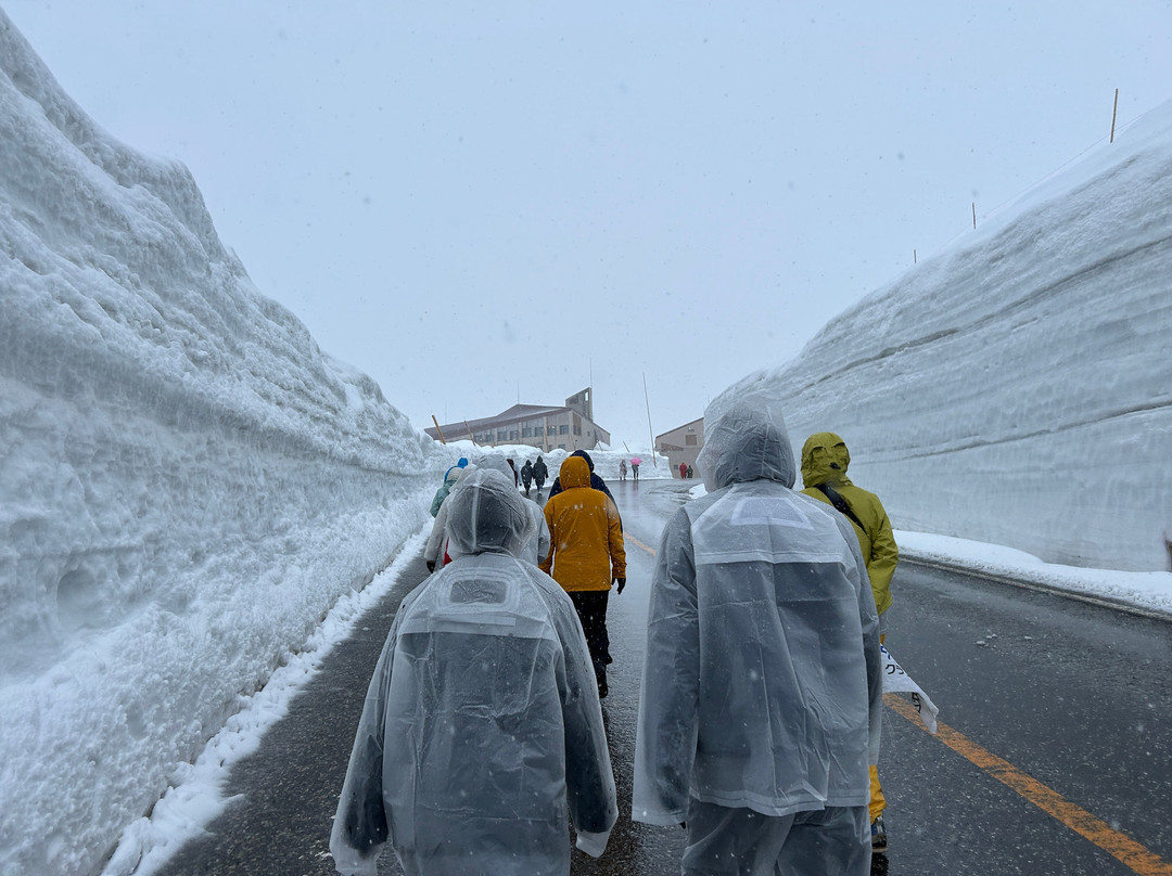 Yuki no Otani (Snow Wall)-立山町必去景点