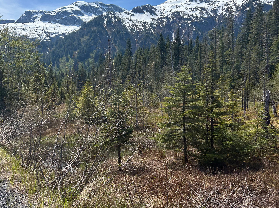 Hoonah ATV Tours-胡纳必去景点