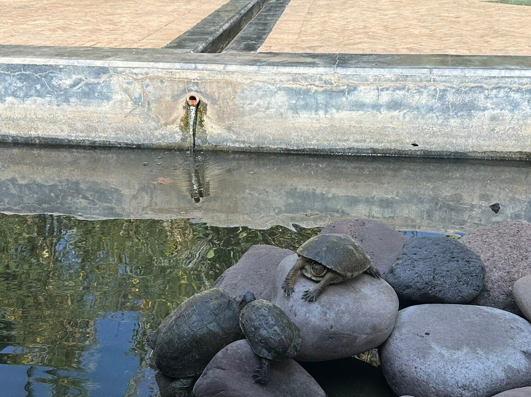 香颂秘密花园-马拉喀什必去景点