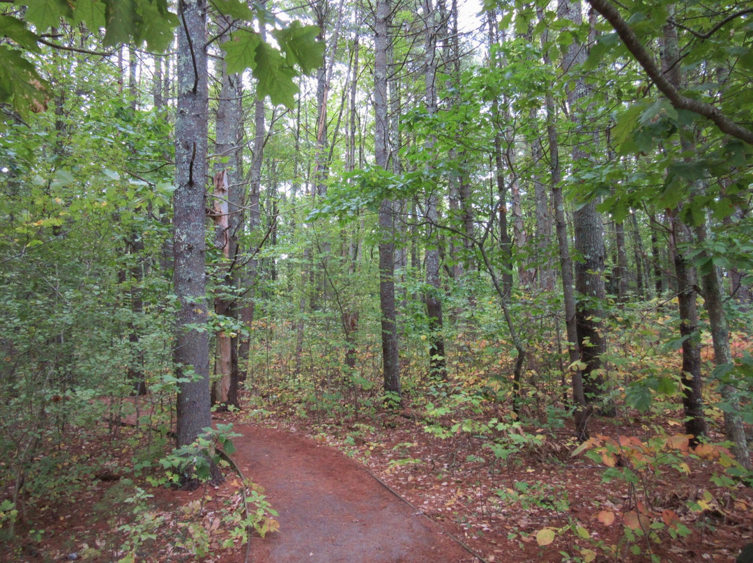 Rachel Carson National Wildlife Refuge-韦尔斯必去景点