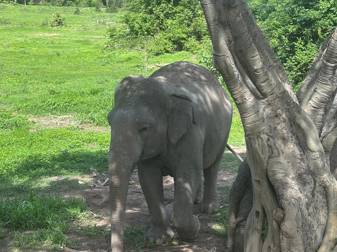 Wildlife Friends Foundation Thailand-他央必去景点