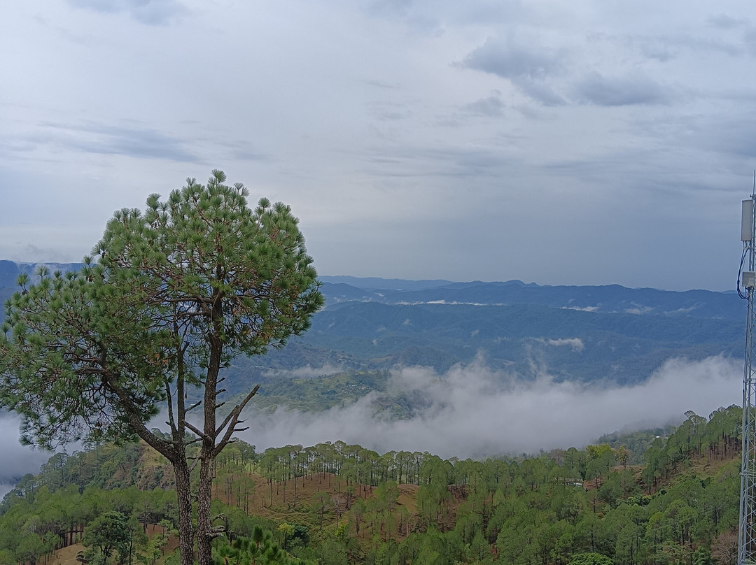 Peaks and Pines Resort主图