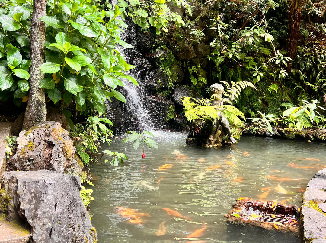 Monte Palace Madeira-沙尔必去景点