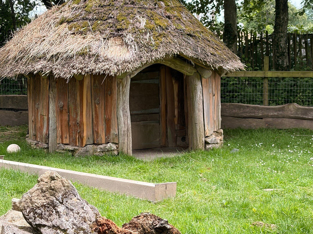 Manor Wildlife Park-St. Florence必去景点