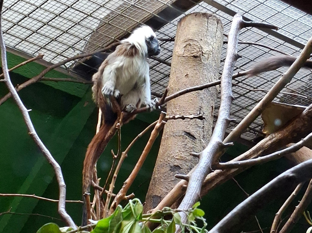 Marwell Zoo-温彻斯特必去景点