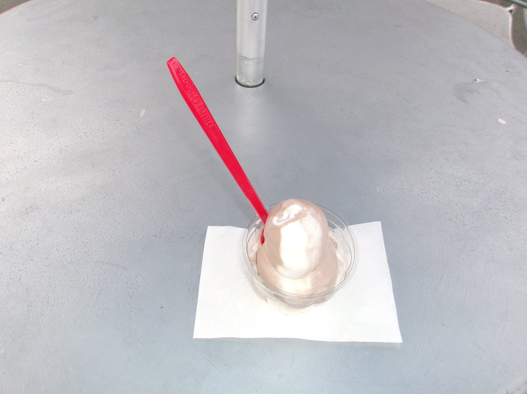 Dairy Queen (Treat)
