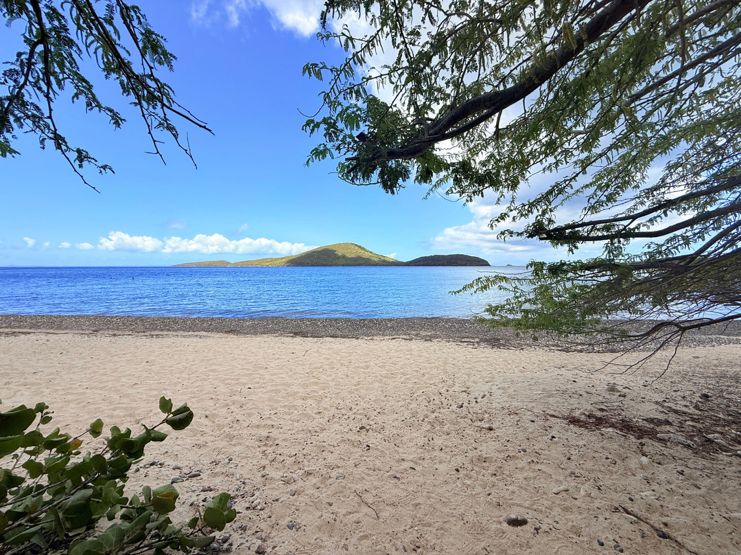 Playa Tamarindo-库莱布拉岛必去景点