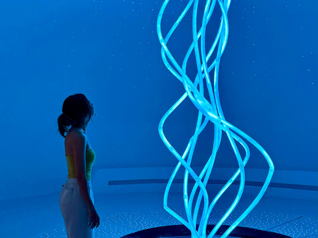 Discovery Center Museo Inmersivo Los Cabos