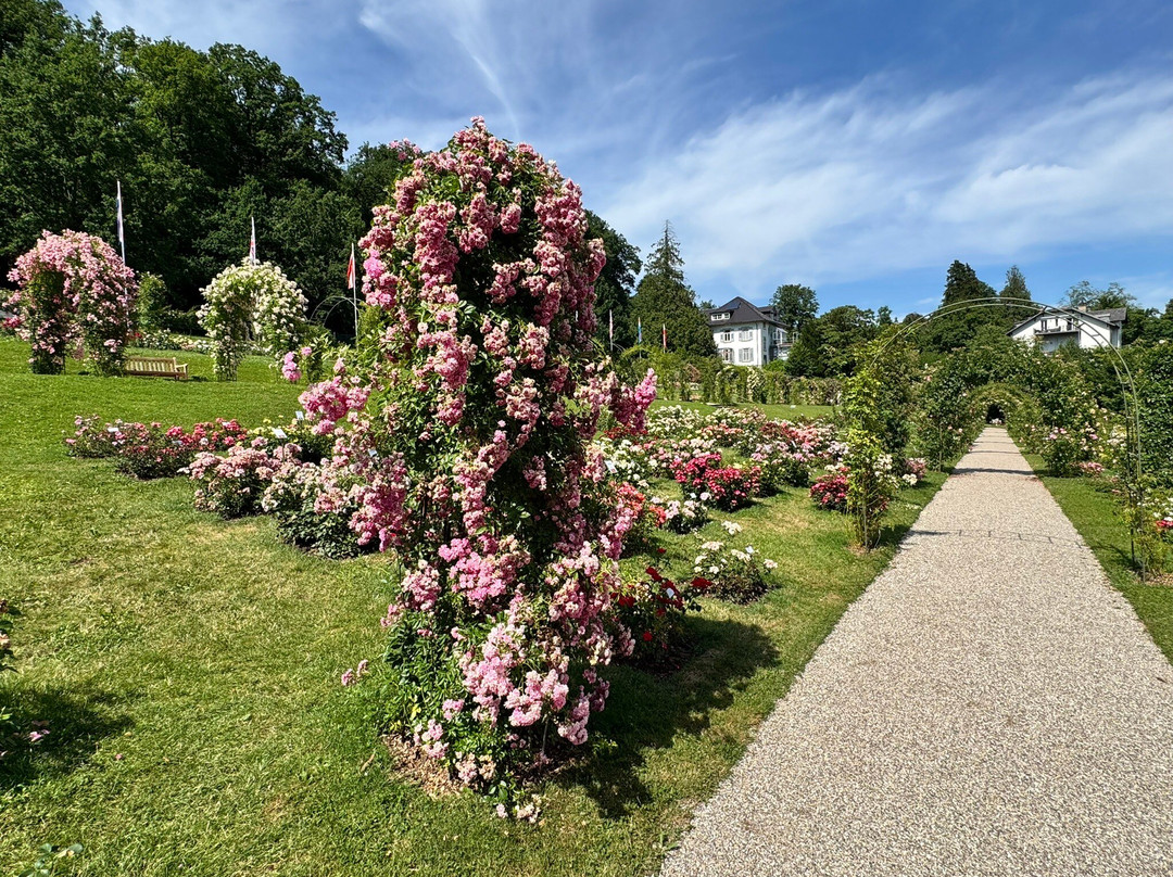 Garten der Rosenneuheiten-巴登巴登必去景点
