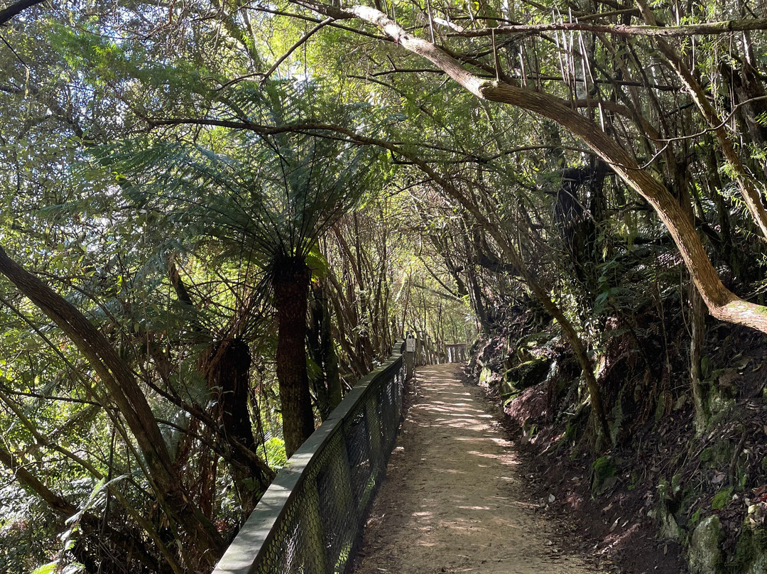 St Columba Falls Reserve-Pyengana必去景点