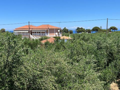 Dimaras Apartments-旅行者