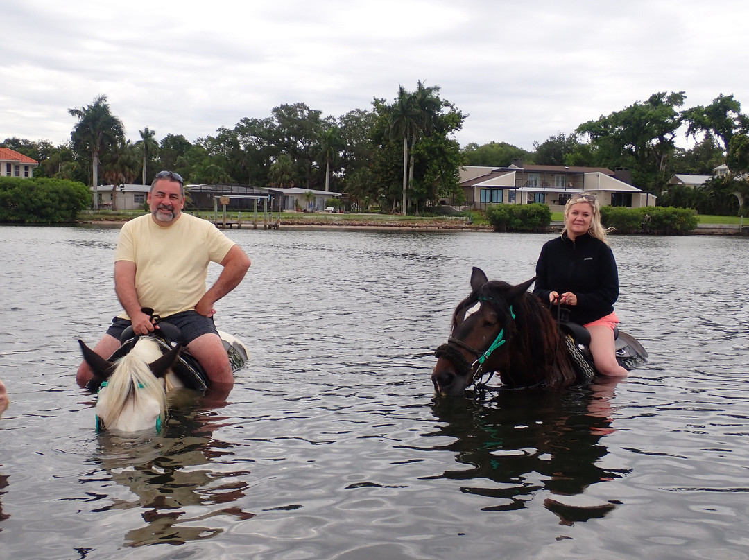 C Ponies Beach Horseback Rides-布雷登顿必去景点