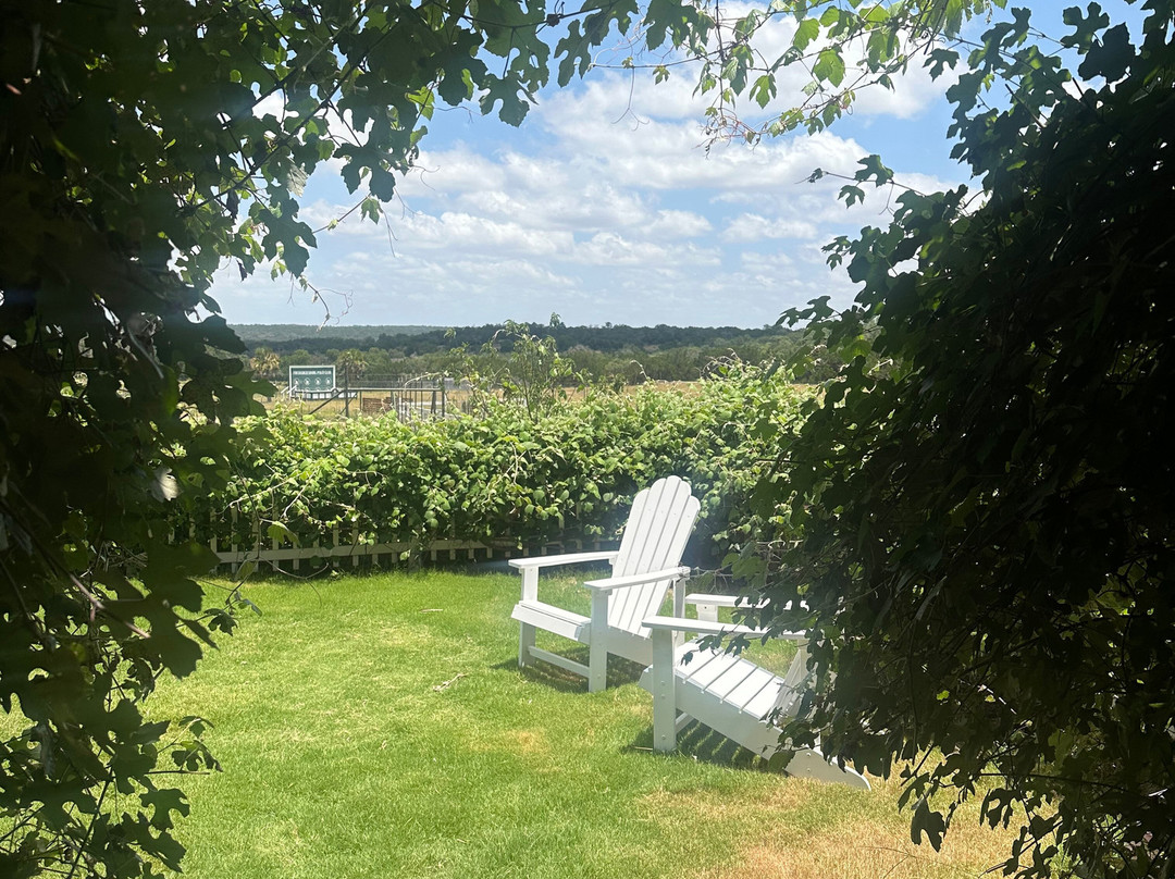 Grapetown Vineyard-弗雷德里克斯堡必去景点
