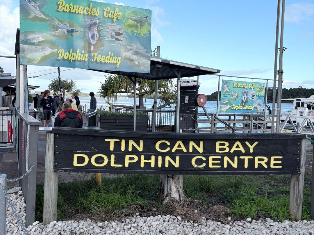 Barnacles Dolphin Centre-Tin Can Bay必去景点