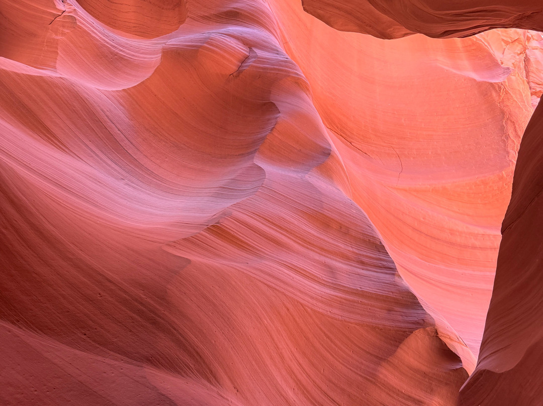 Antelope Canyon X By Taadidiin Tours-佩吉必去景点