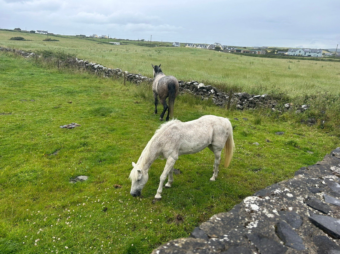 Aran Bike Hire-Inishmore必去景点