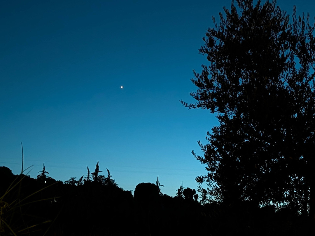 Agriturismo Le Bucoliche主图