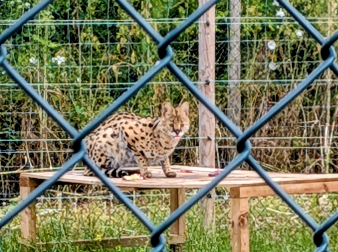 Bridlington Animal Park-布里德灵顿必去景点