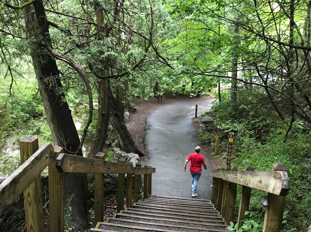 Natural Bridge State Park-天然桥必去景点