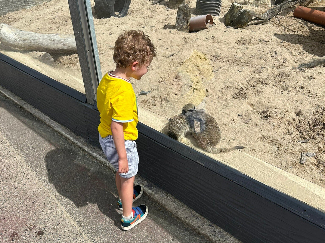 Camel Creek Family Adventure Park-Wadebridge必去景点