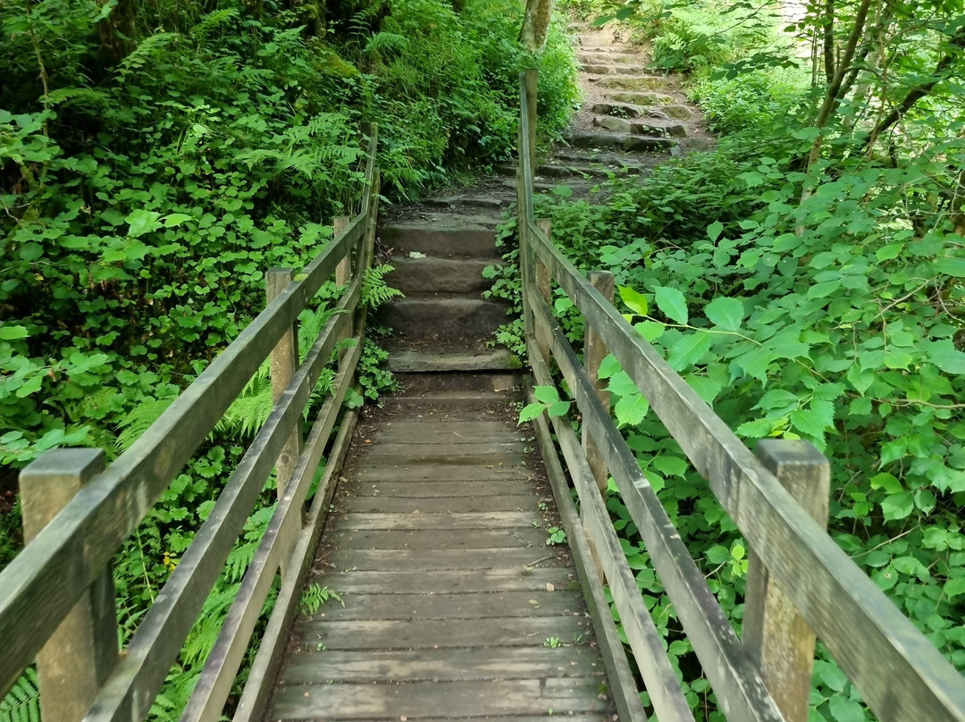 Hareshaw Linn Walk-Bellingham必去景点