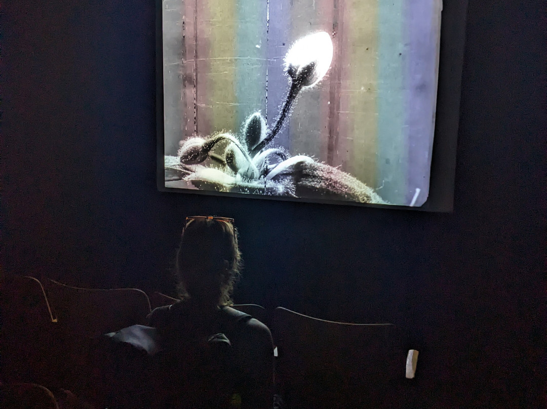 NaFilM: National film museum-布拉格必去景点