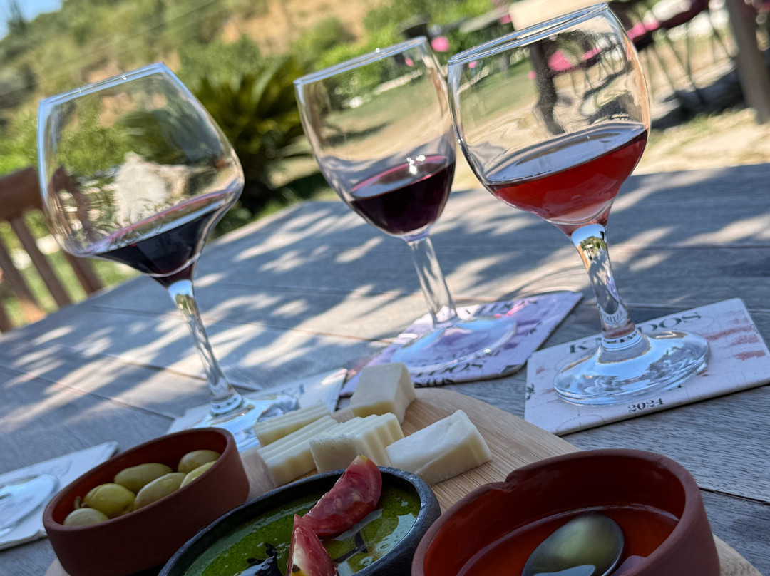 Knidos Winery-Resadiye必去景点