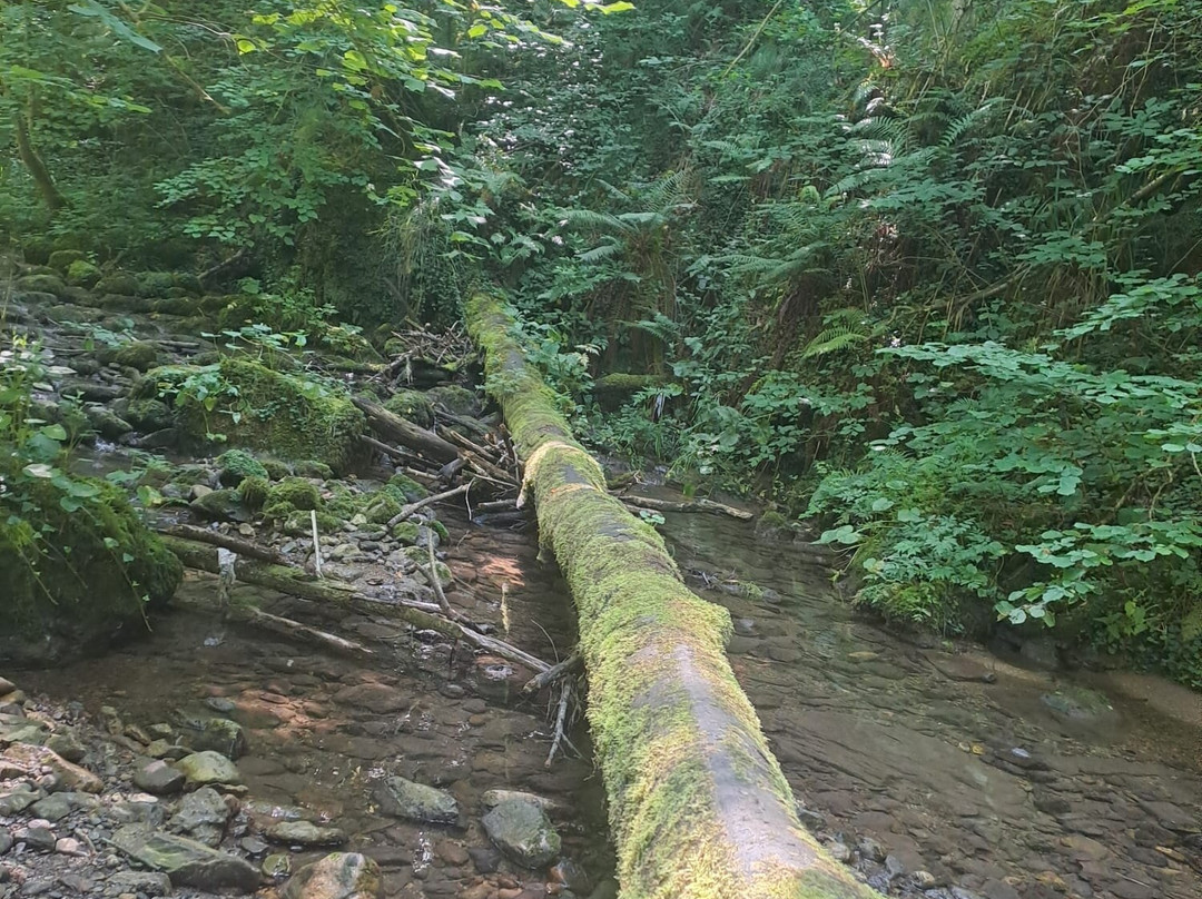 Ruta De Las Xanas-Villanueva De Santo Adriano必去景点