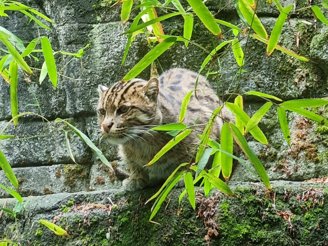Ree Park Safari-埃伯尔措夫特必去景点