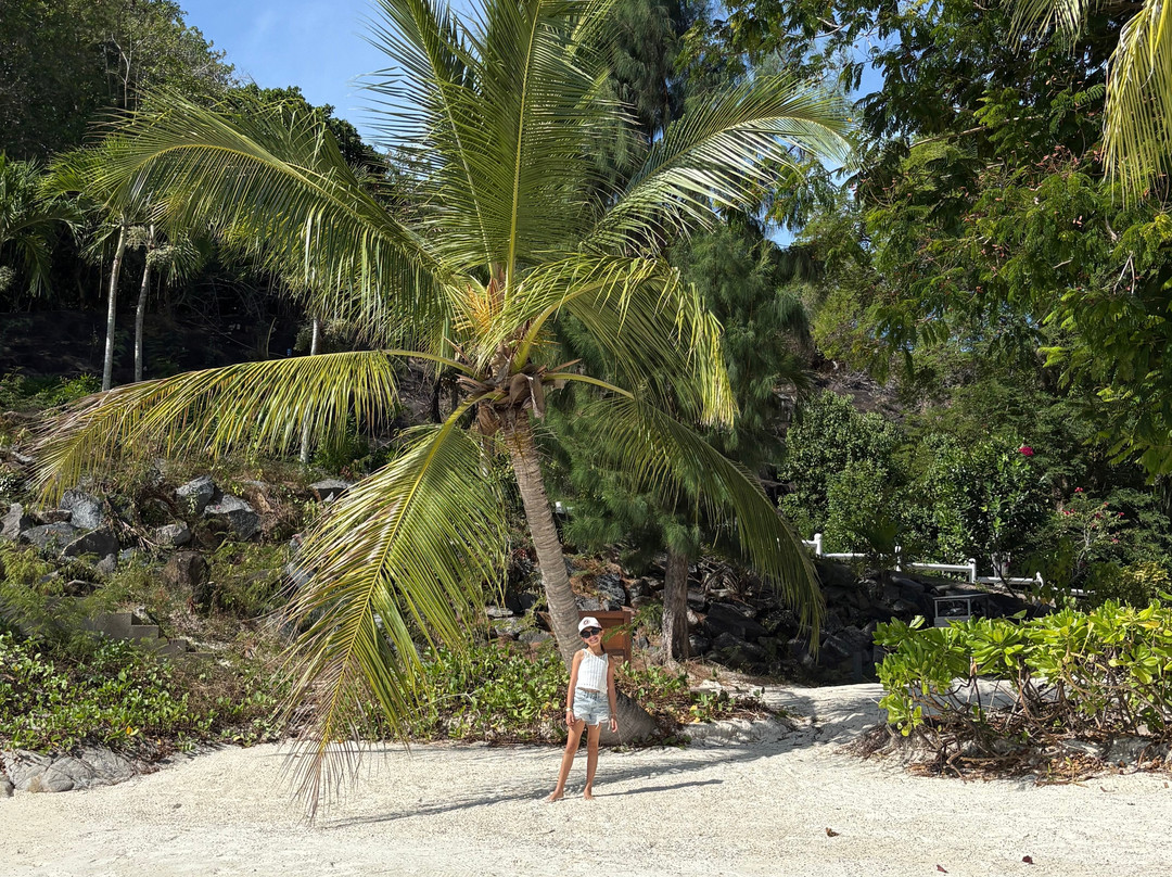 Club Med Seychelles主图