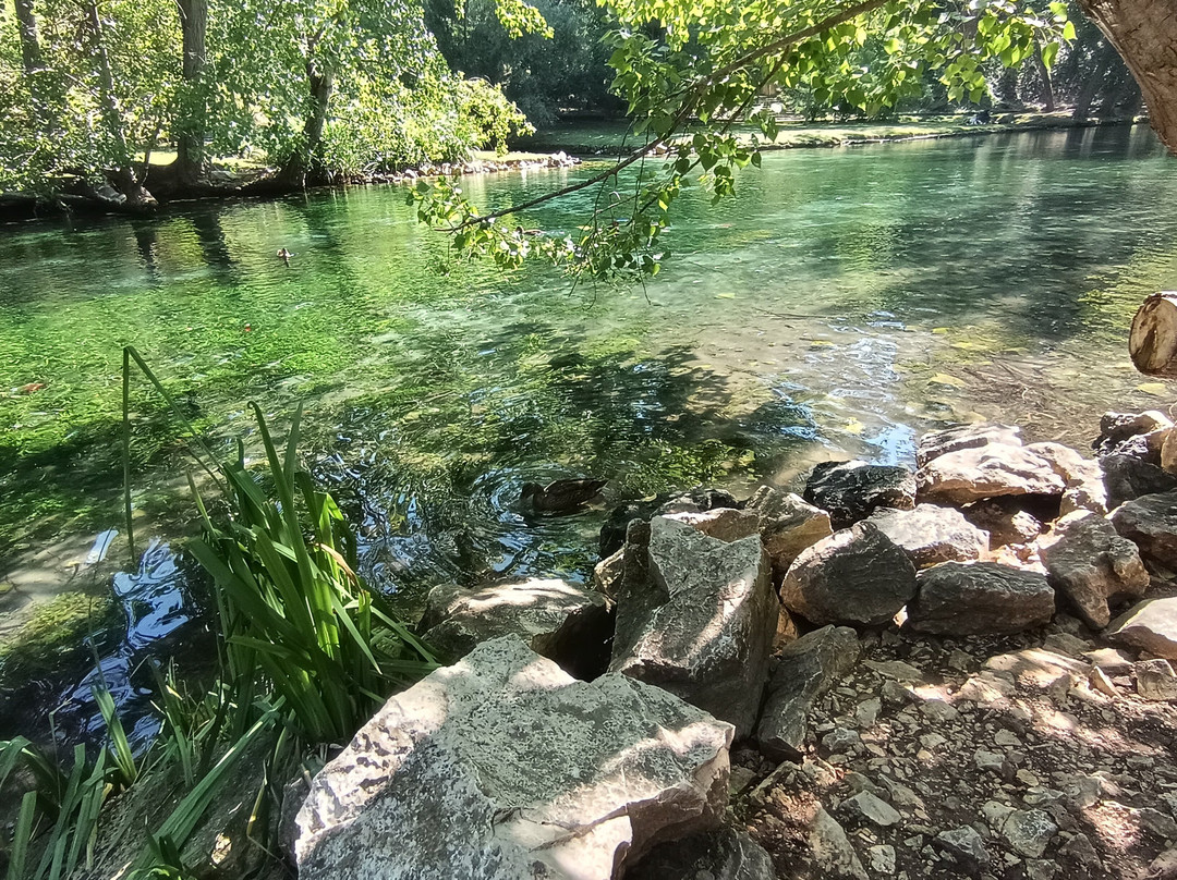 Parco del Grassano-San Salvatore Telesino必去景点