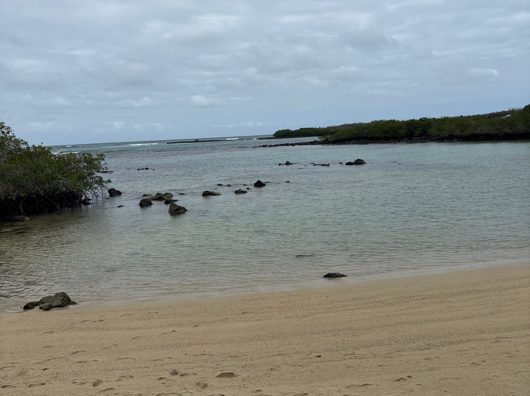 Playa de los Alemanes-阿约拉港必去景点