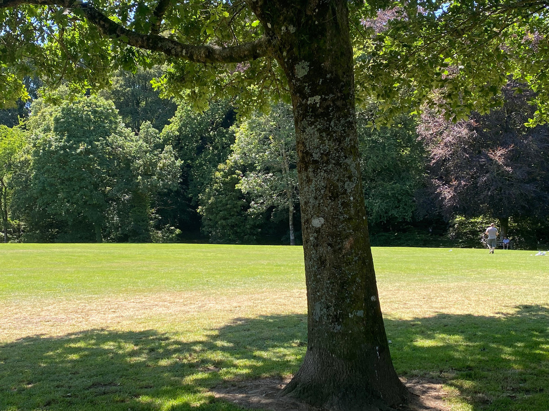 Simmons Park-Okehampton必去景点