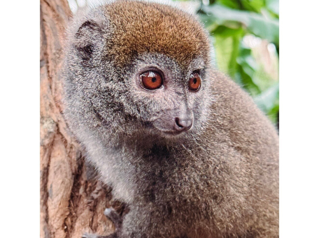 Soul of Madagascar Tours-Toamasina (Tamatave)必去景点