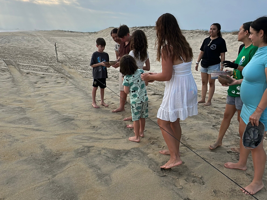ViveMar - Sea Turtle Release-埃斯孔迪多港必去景点