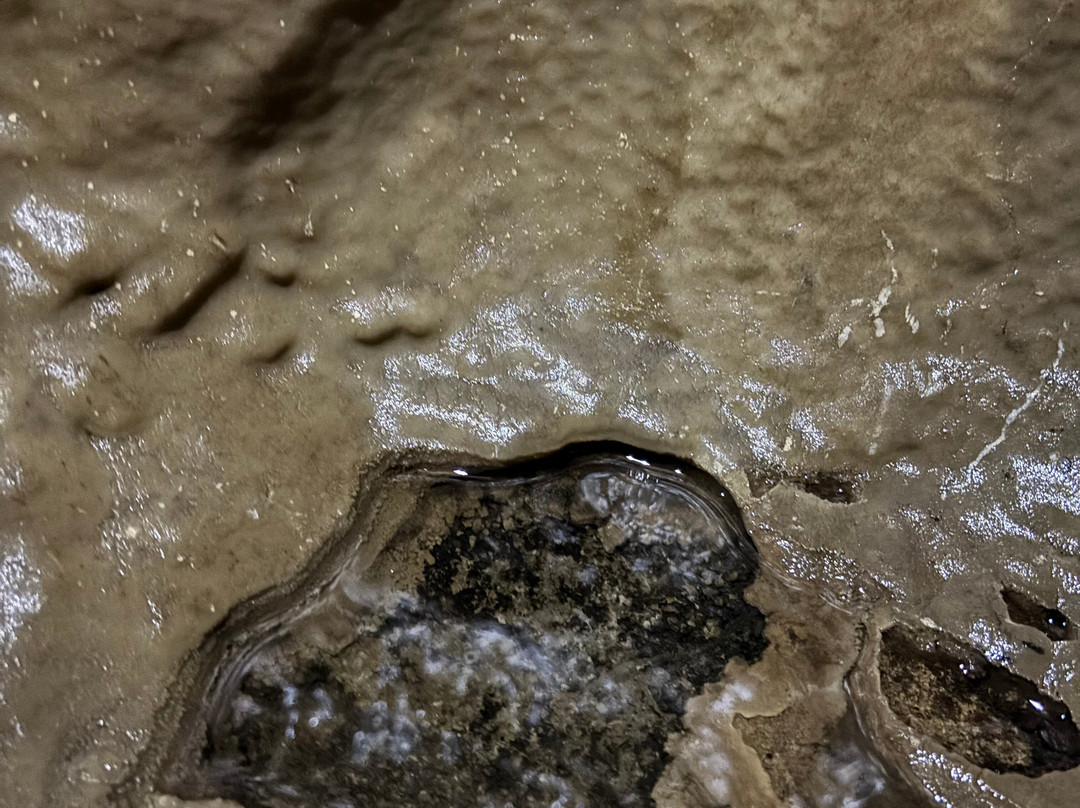 White Scar Cave-Ingleton必去景点