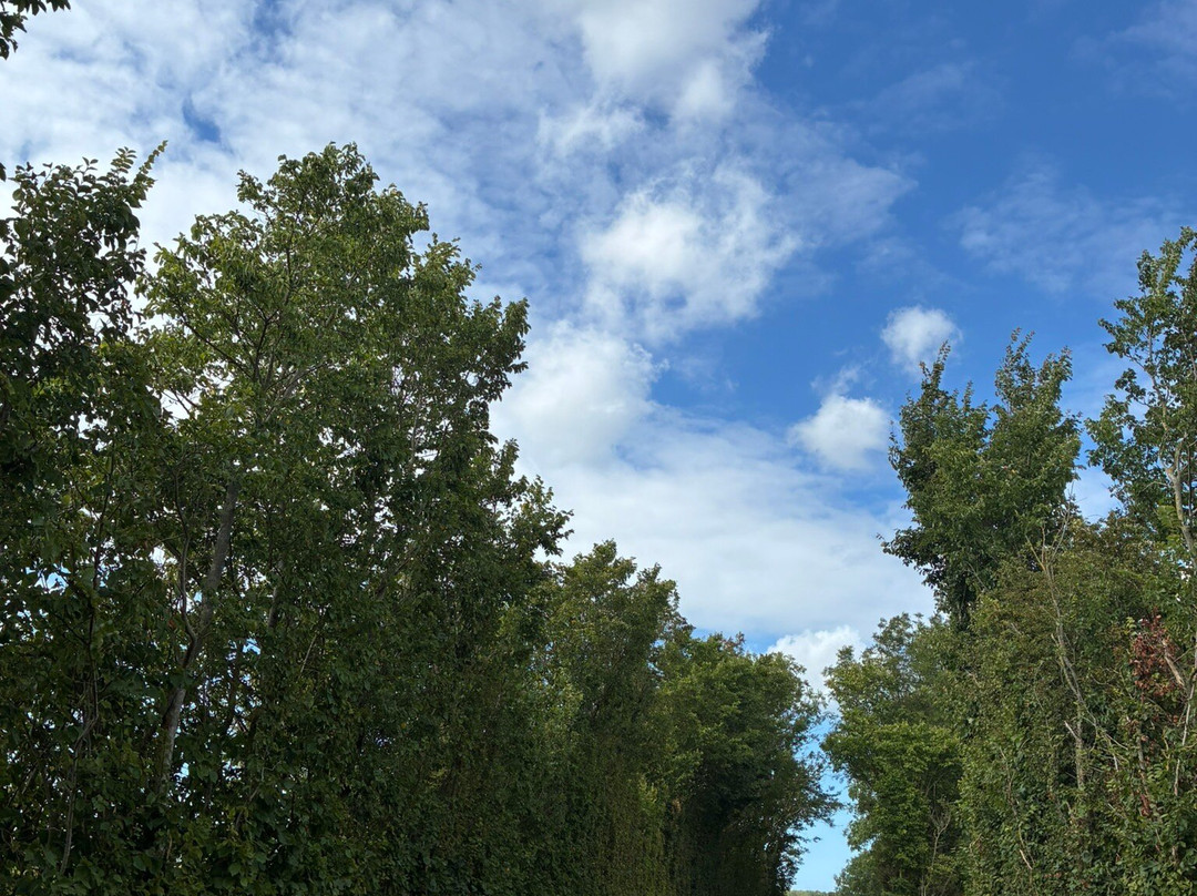 Boswachterspad Veerse Bos-Veere必去景点