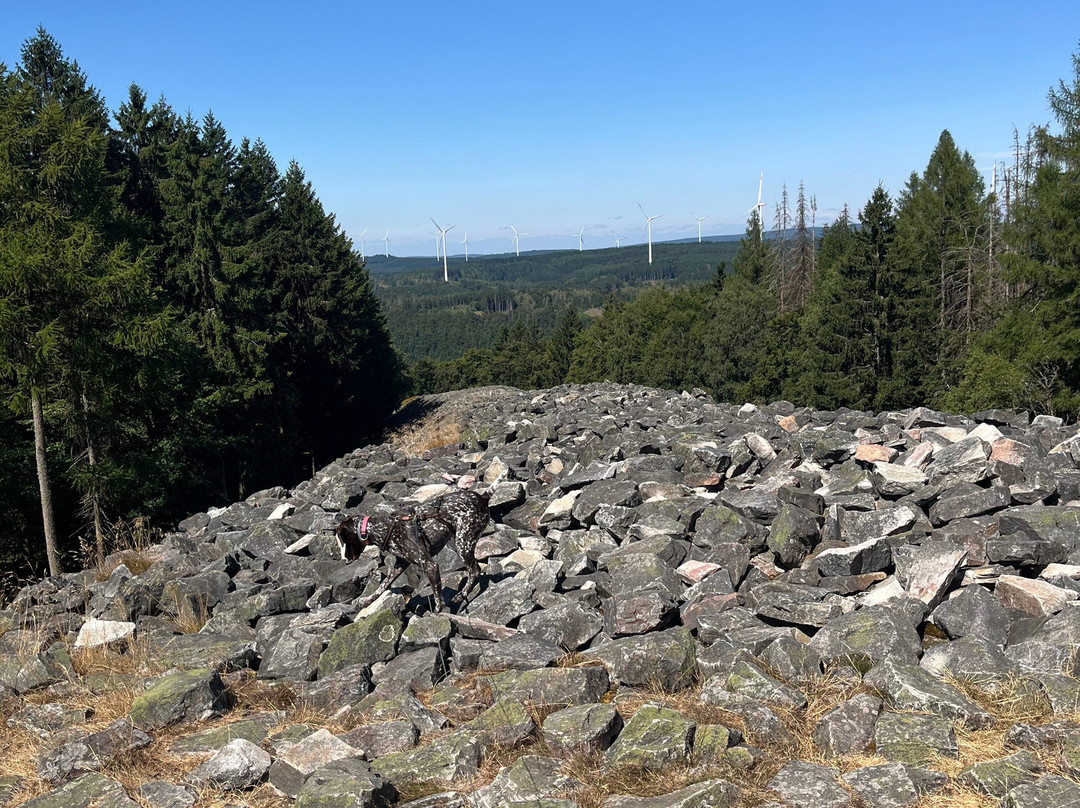 Hunnenring der keltische Ringwall-Nonnweiler必去景点