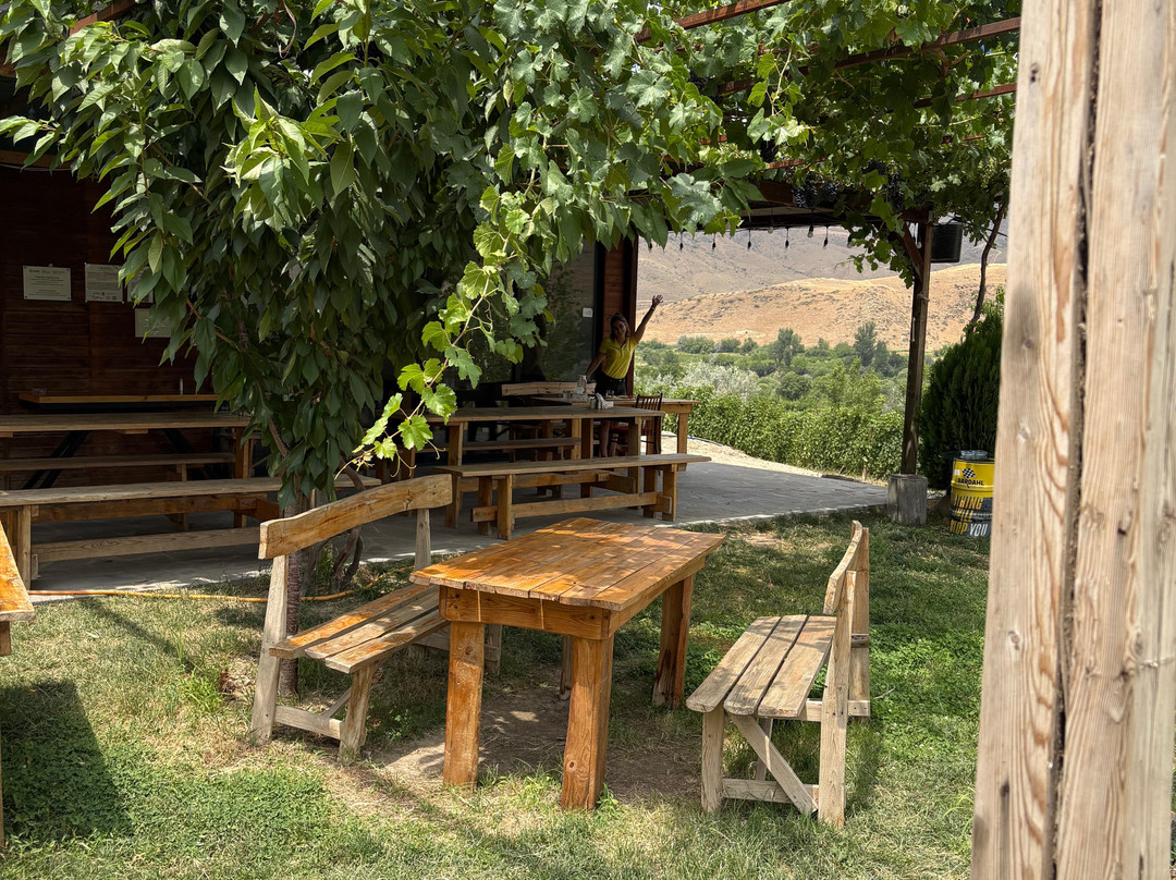 Momik Wines-Areni必去景点