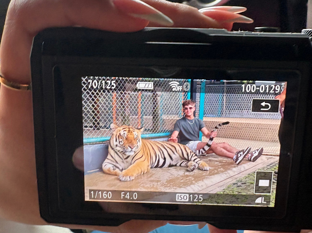 Tiger PARK Phuket-查龙必去景点