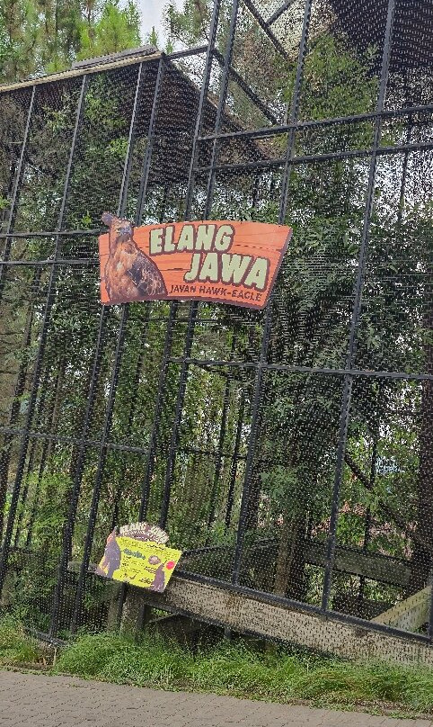 Lembang Park & Zoo-Cihideung必去景点