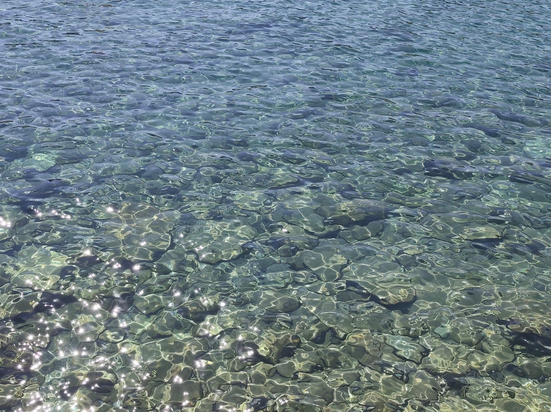 Ligaria Beach-阿希亚贝拉希亚必去景点