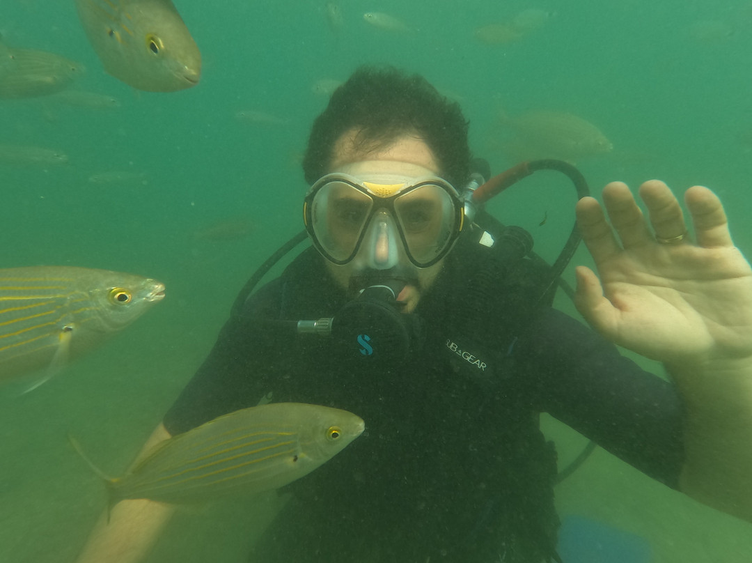 Active Blue Diving Center-库萨达斯必去景点